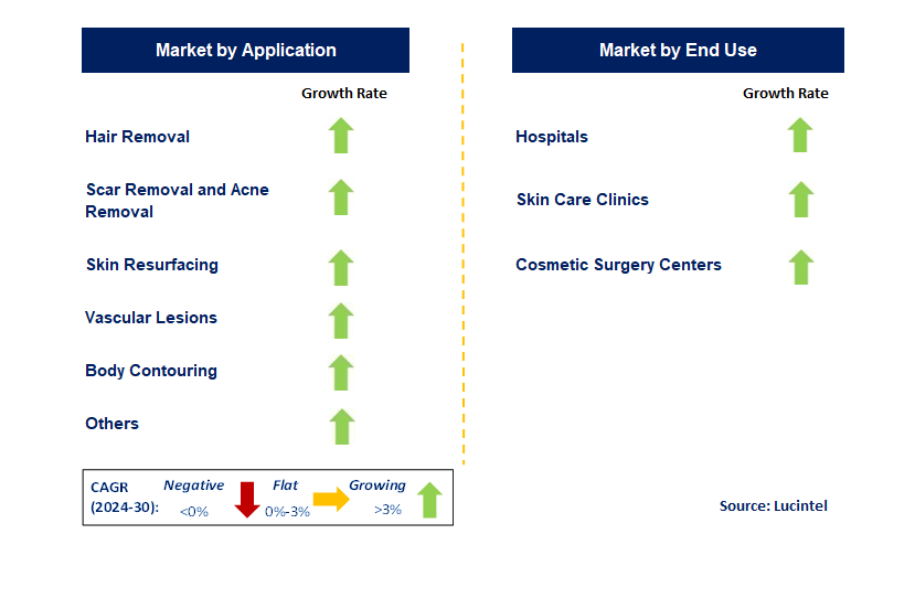 Cosmetic Laser by Segment